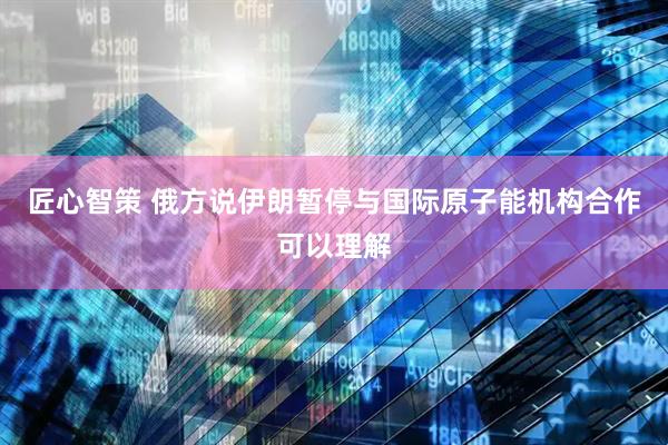 匠心智策 俄方说伊朗暂停与国际原子能机构合作可以理解