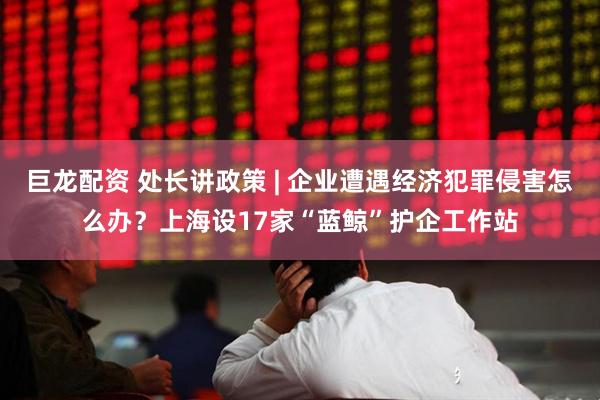 巨龙配资 处长讲政策 | 企业遭遇经济犯罪侵害怎么办？上海设17家“蓝鲸”护企工作站