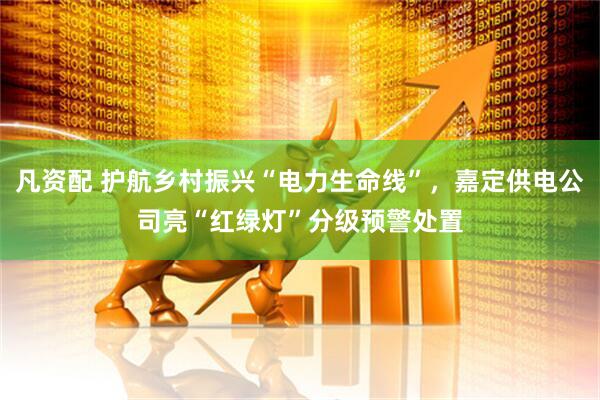 凡资配 护航乡村振兴“电力生命线”，嘉定供电公司亮“红绿灯”分级预警处置