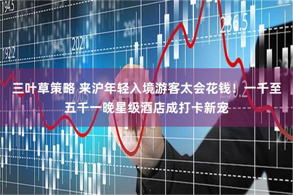 三叶草策略 来沪年轻入境游客太会花钱！一千至五千一晚星级酒店成打卡新宠