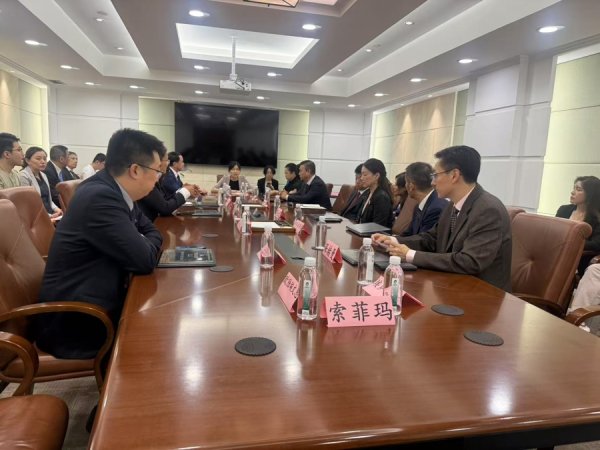 恒盈配资 外商大呼“趋势变了”，总部研发中心工厂一起上，技术“反转”改变投资逻辑