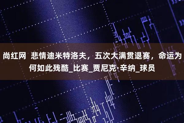 尚红网  悲情迪米特洛夫，五次大满贯退赛，命运为何如此残酷_比赛_贾尼克·辛纳_球员